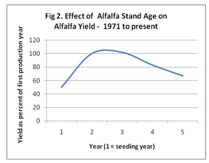 When should you take out your alfalfa stand? King's AgriSeeds