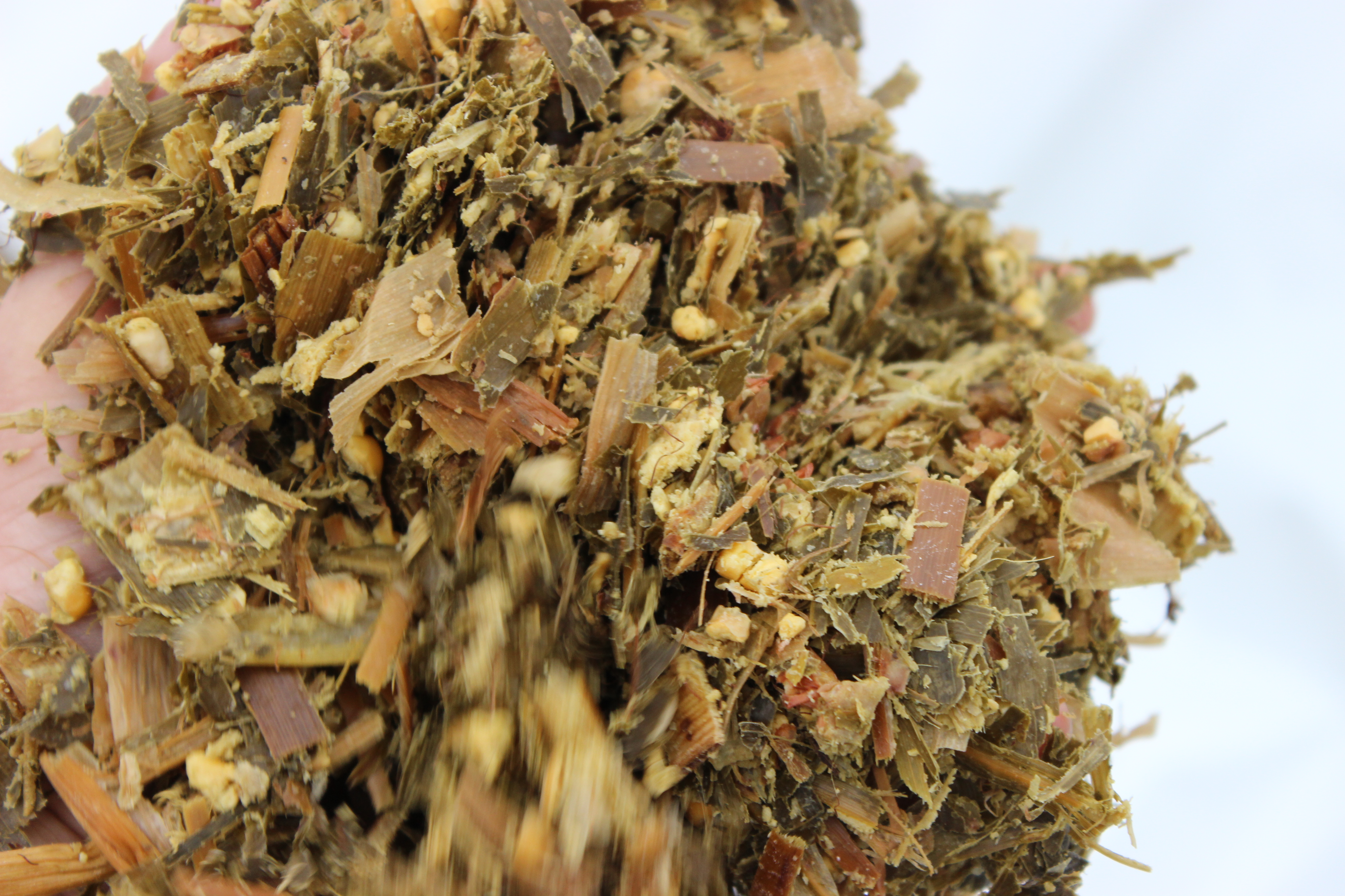 Fiber Digestibility Getting the Whole Picture King�s