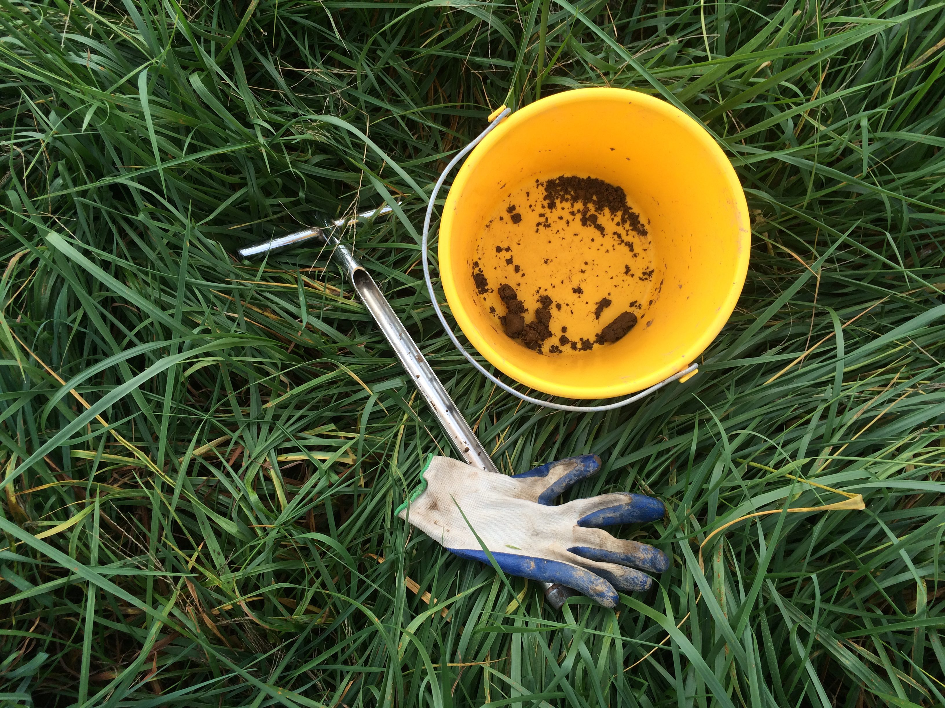 King's AgriSeeds Managing Your Fields in the "Off" Season